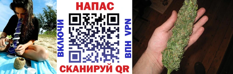 Бошки Шишки Кадников