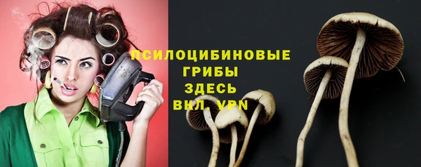 Альфа ПВП Абаза