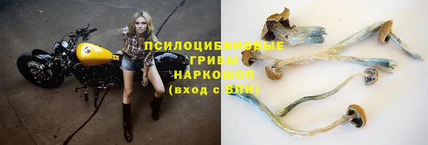 Альфа ПВП Абаза