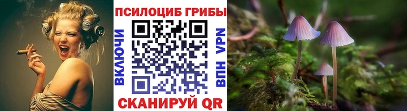 где купить наркоту  сайты даркнета какой сайт  Псилоцибиновые грибы Cubensis  Кадников 