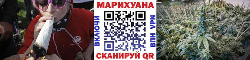 Шишки марихуана OG Kush  где продают   omg зеркало  Кадников 